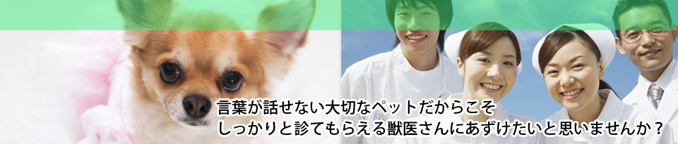 言葉が話せない大切なペットだからこそしっかりと診てもらえる獣医さんにあずけたいと思いませんか？